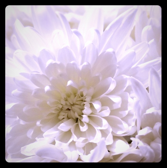 Meet your Posher, Liane - Picture 1 of 1